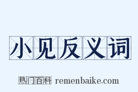 小见反义词是什么意思的图片